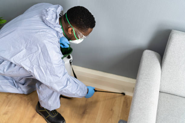 Best Pest Prevention Services  in Whetstone, AZ